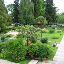 Roza Vetrov (Rosa Del Viento) Hotel, 图阿普谢 — 照片 4