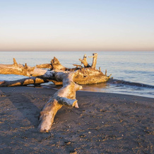 Camping Bar Horizon, Фронтиньян — фото 5