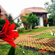 Beautiful Memories Resort, Лем Синг — фото 2