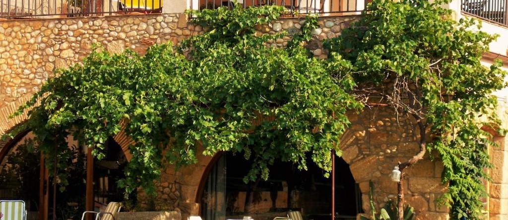 La Masia Costa Brava, 加里加斯 — 照片 1
