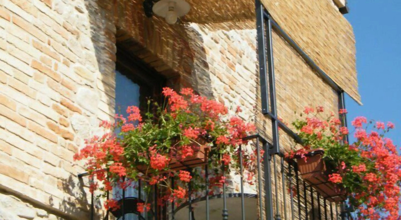 Agriturismo Biologico la Casa degli Gnomi, Ortezzano — photo 1