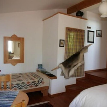 Brigitte's Bavarian B&B, 卡切马克 — 照片 4