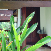 Villa Campuhan, 安拉普拉 — 照片 4