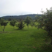 Åbyggeby Landsbygdscenter, 奥克尔博 — 照片 2
