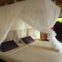 El Remanso Rainforest & Wildlife Lodge, 希门尼斯港 — 照片 3