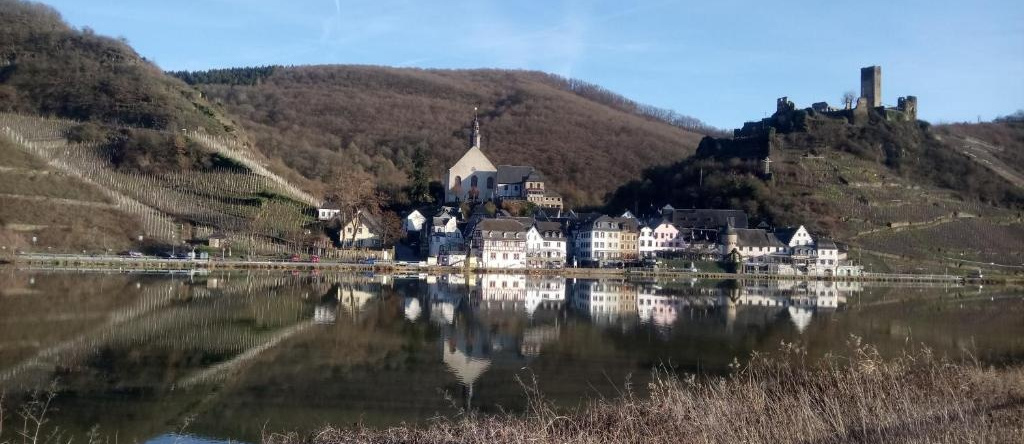 Historischer Winzerverein Boutique B&B, 森海姆 — 照片 1