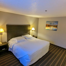 Woodfield Inn and Suites, Marshfield — photo 3