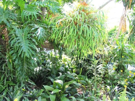 Oakhampton Bed and Breakfast, 贡波 — 照片 1
