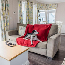 Croyde Bay Holiday Resort, 乔治汉姆 — 照片 4