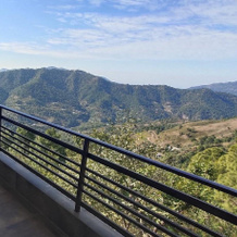 LEELA The Flavors of Nature, Solan — photo 2