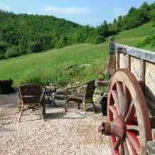 Agriturismo Carincone, 佩尔戈拉 — 照片 3
