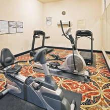 Holiday Inn Express Hotel & Suites Corsicana By Ihg, Корсикана — фото 4