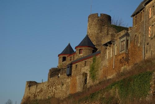 Historische Mühle Vogelsang, 博登巴赫 — 照片 1
