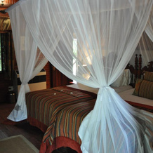 Zongoene Lodge, Шаи-Шаи — фото 3