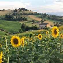 Casale Delle Rondini, Толентино — фото 5