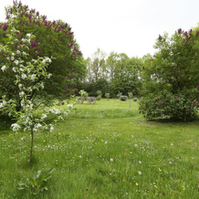 Ferienwohnung Jonagold, Stade — photo 5