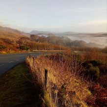 Willow Cottage Donegal B&B, Cloghan — photo 2