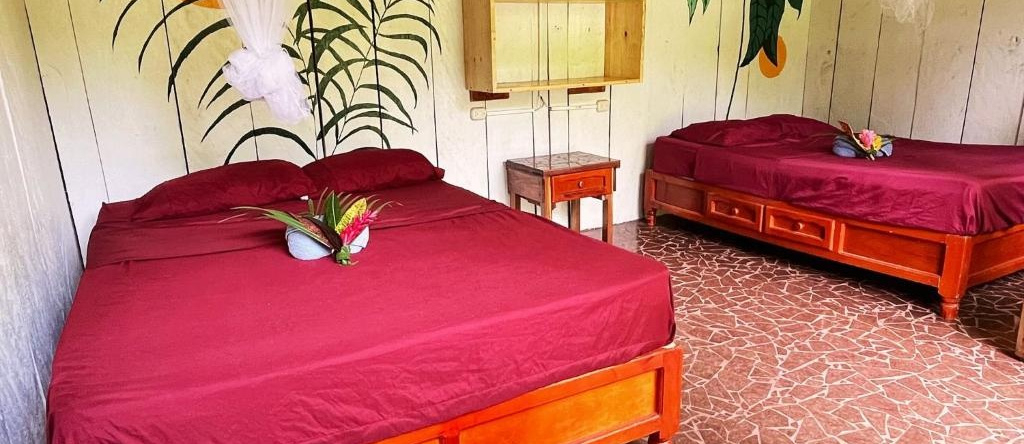 Cabanas Ixaya, Катемако — фото 1