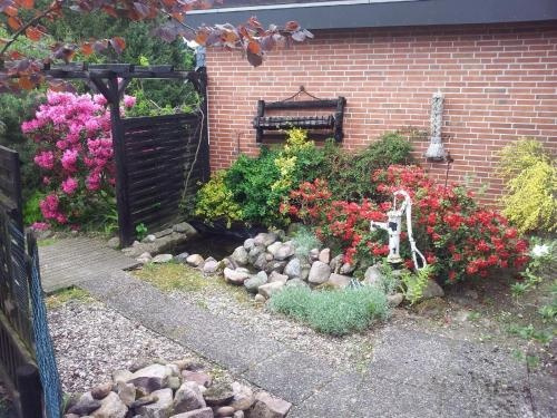 Ferienhaus-Elbe-Ilenpool, 布莱克德 — 照片 1