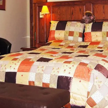 Grange Farmhouse Bed and Breakfast, 邓弗姆林 — 照片 4