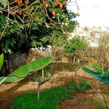 Casa Rural de Tío Félix, 维加-德圣马特奥 — 照片 3