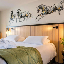 Mercure Bords De Loire Saumur, Saumur — photo 2