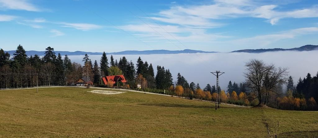 Domek na Obidzy, Piwniczna-Zdroj — photo 1