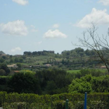 Cavallo DI Fiori - Agriscuderia, Nepi — photo 3