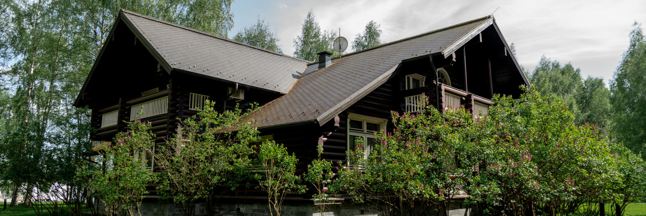Basovskoe Park Hotel, 谢利希 — 照片 1