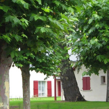 Domaine De Sainte-Marguerite, 波尔尼谢 — 照片 5