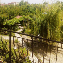 Pensiunea Dalena, Костинешти — фото 3