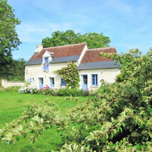 Gîte Crissay-Sur-Manse, 3 Pièces, 4 Personnes - Fr-1-381-327, Криссе-Сюр-Манс — фото 4