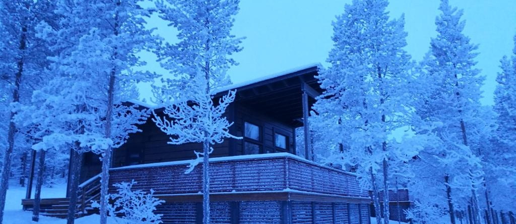 Lomatärppi, 乌茨约基 — 照片 1