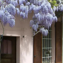 Single House Milan - Rho area, 帕代尔诺杜尼亚诺 — 照片 5