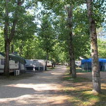 Camping Rural Llanos de Arance, Coto Rios — photo 4