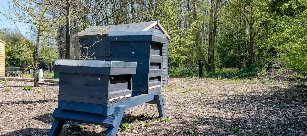 Honeysuckle Farm Hut 1 - Suffolk Farm Holidays, Бедфилд — фото 1