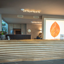 Aqualux Hotel Spa & Suite, 巴多利诺 — 照片 2