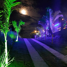Bangalô House - Praia do Rosa SC, 因比图巴 — 照片 5