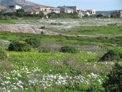 Lagoon Lookout Langebaan, 兰格班 — 照片 1