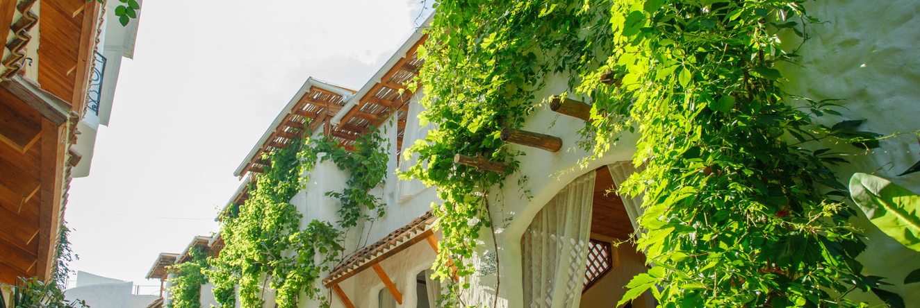 EstetEtno Guest House, 苏达克 — 照片 1