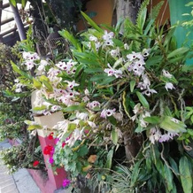 Posada los Naranjos, 希科 — 照片 3