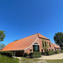 Gulfhof Dreybült Dreybült 8 Tammo, 多尔努姆 — 照片 5