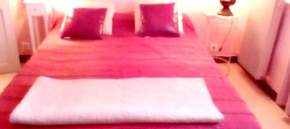 Apartment With 3 Bedrooms in Bocognano, With Wonderful Mountain View,, 博科尼亚诺 — 照片 1