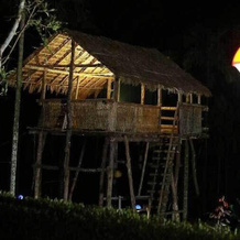 New Line Gods Land Resort, Nilambur — photo 2