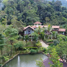 Fifty4Ferns, Janda Baik — photo 2