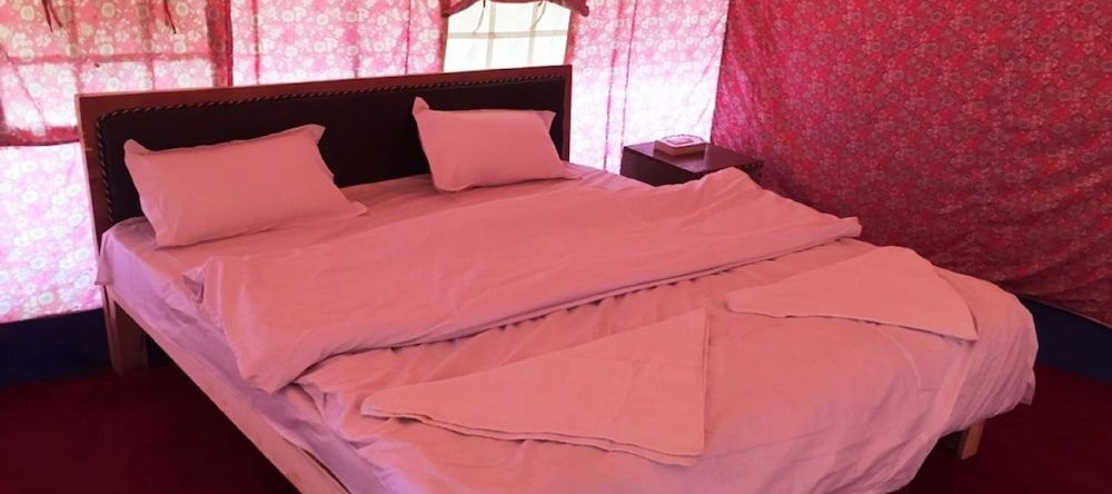TIH Buckwheat Root Camp - Turtuk, Turtuk — photo 1