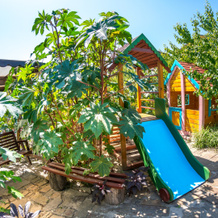 Solnechnaya Dolina Guest House, 阳光谷 — 照片 4
