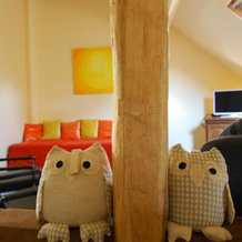 B&B Het Uilennest, 布雷 — 照片 4