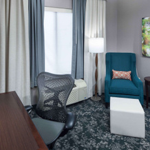 Hilton Garden Inn Detroit/Novi, 诺维 — 照片 2