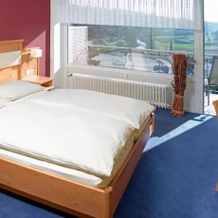 Hotel Haus Wallstein, Валлендорф — фото 4